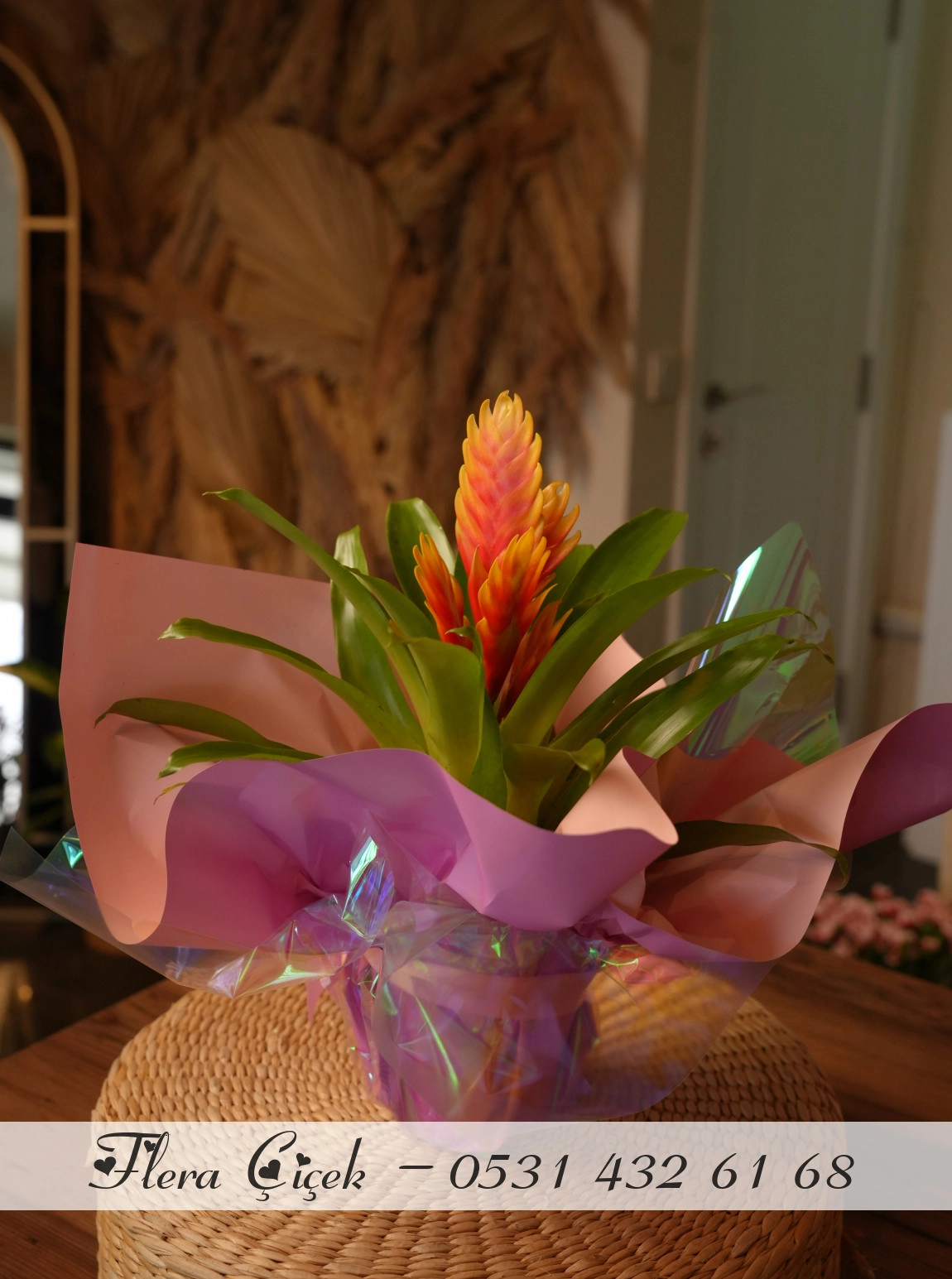 Bromelium