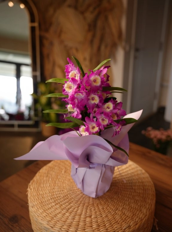 Dendrobium
